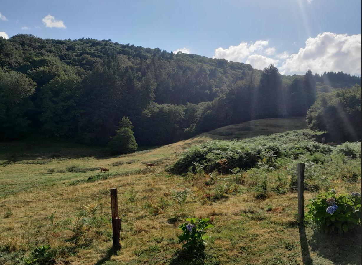 Chalet Charmant A Saint-Sylvestre Avec Terrasse Et Jardin Ambazac Bagian luar foto
